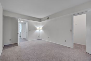 Plush carpeting in bedroom